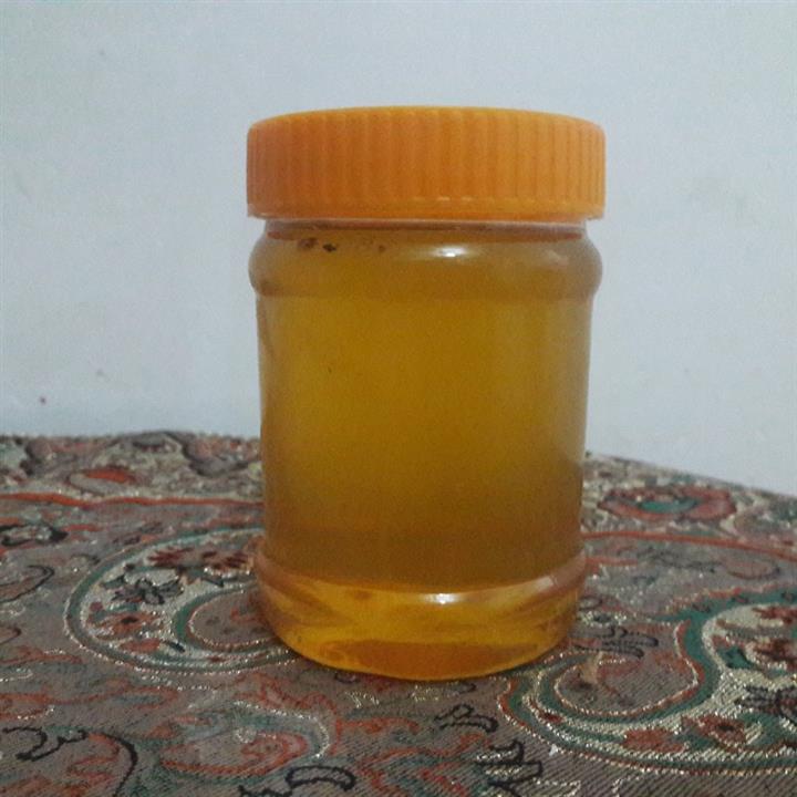 عسل بهار نارنج اعلا انگبین(500 گرم)